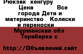 Рюкзак -кенгуру Baby Bjorn  › Цена ­ 2 000 - Все города Дети и материнство » Коляски и переноски   . Мурманская обл.,Териберка с.